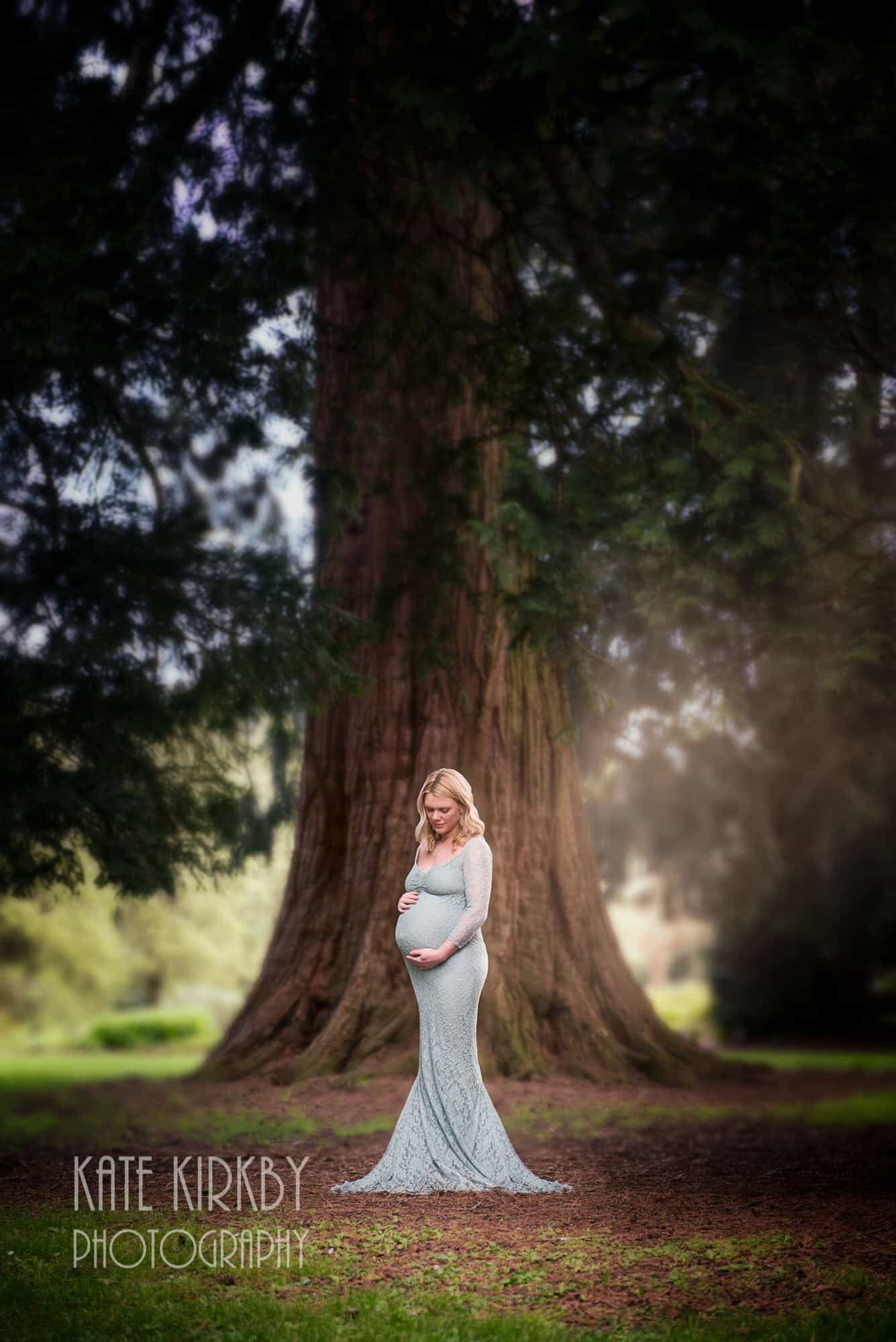 pregnant woman wear long pale green dress stanging in front of giant redwood tree