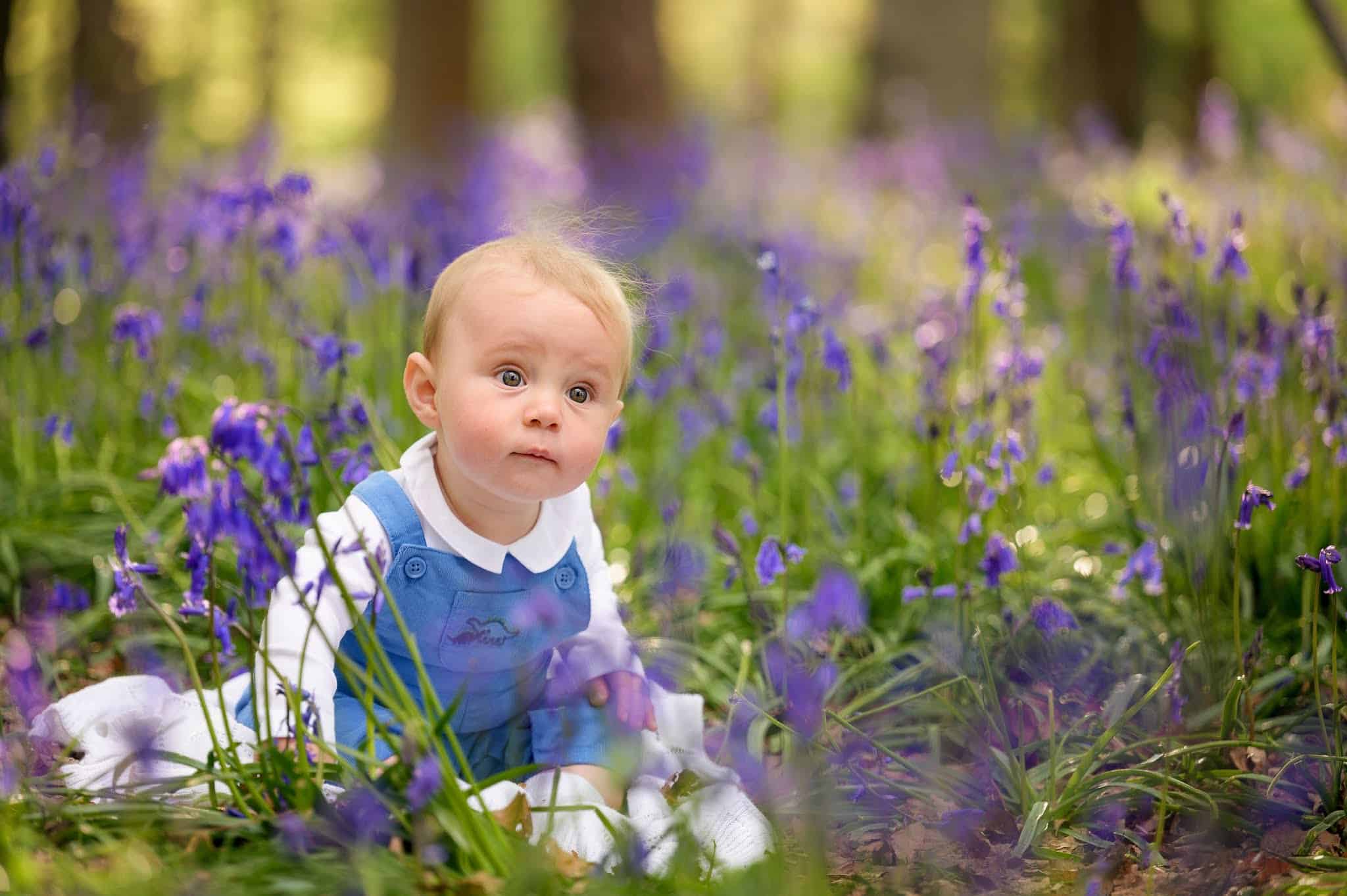 photograph of baby sitting in middle of bluebells in Bristol