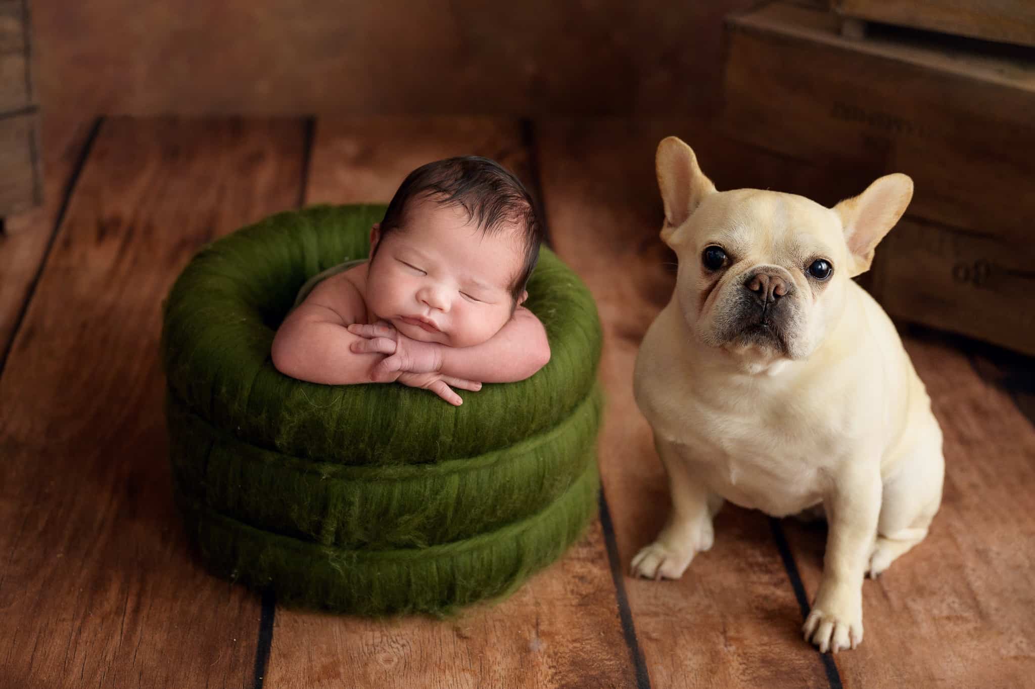 photograph of newborn baby with French bulldog