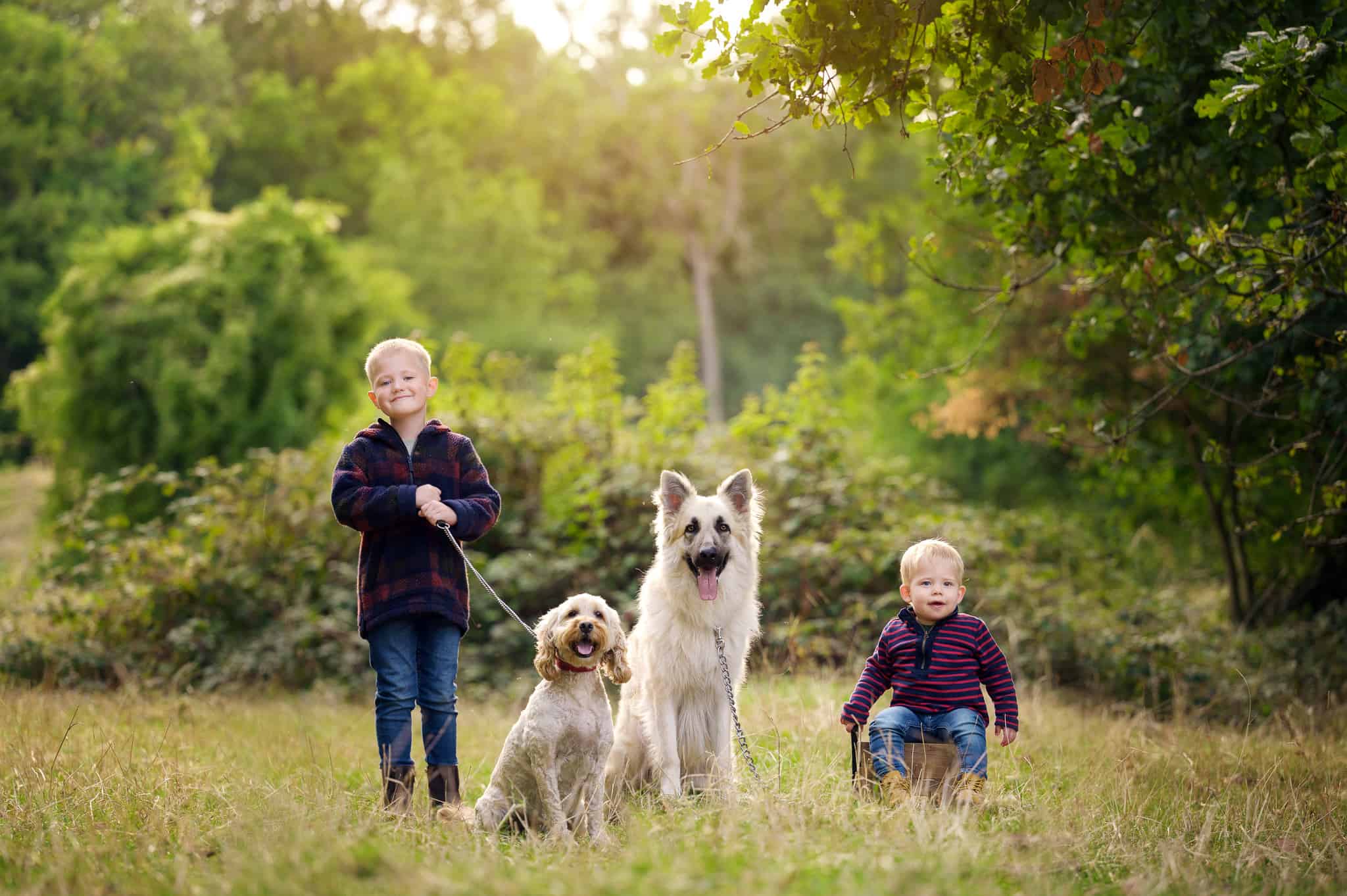 photograph of two boys in the woods with their two dogs