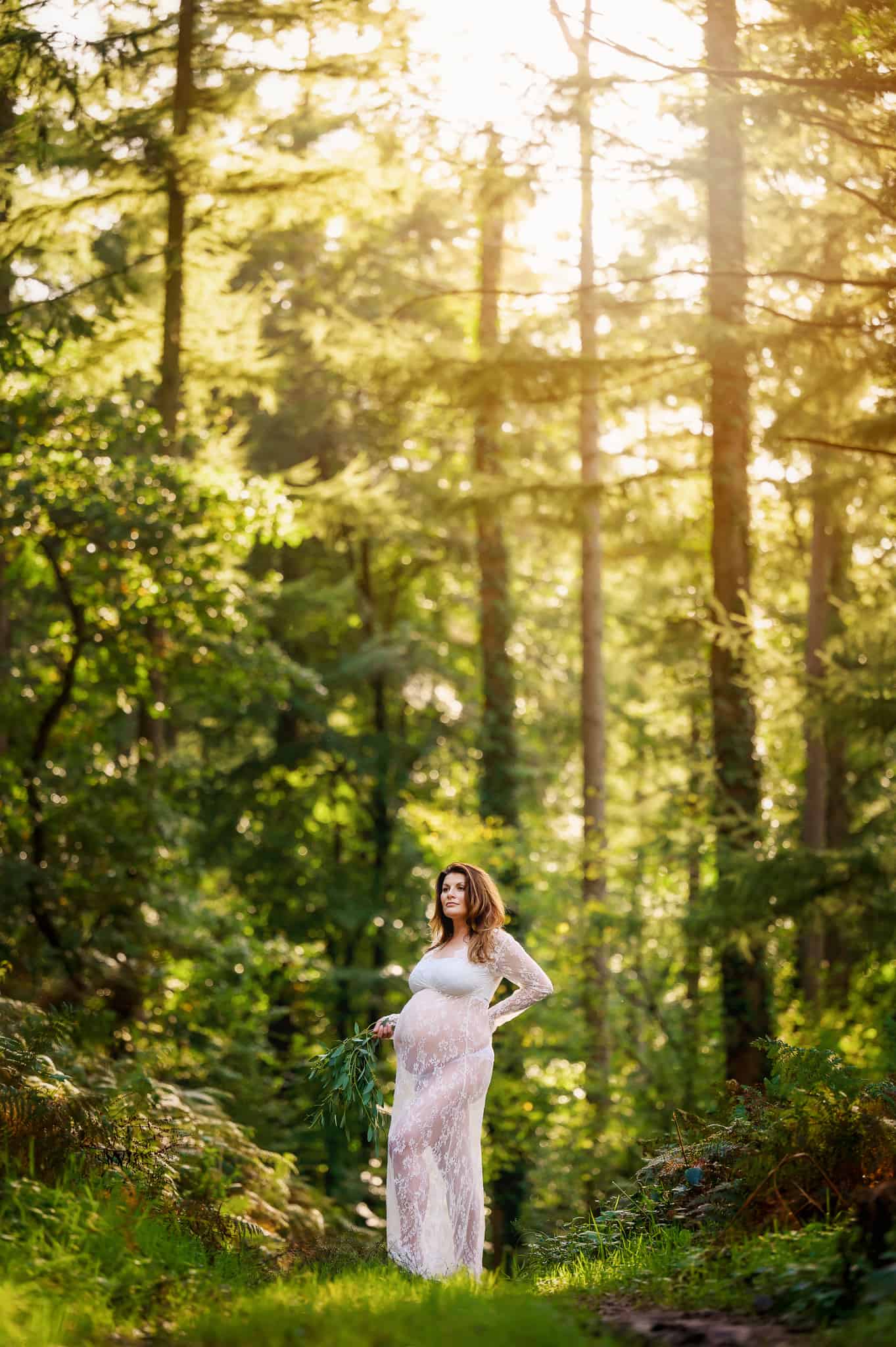 Pregnant lady weraing a white dress in a pine forest with light shining through the trees